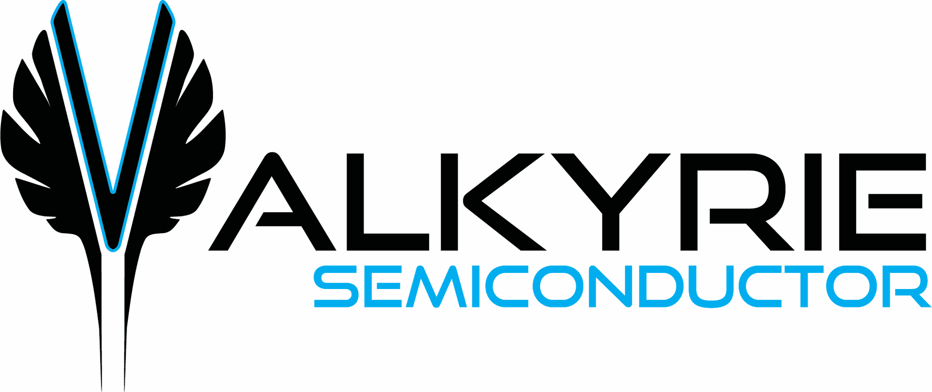 Valkyrie Semiconductor